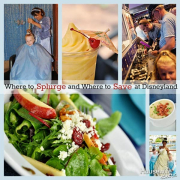 Where to SPLURGE and Where to SAVE at Disneyland