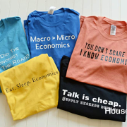 DIY Custom Economics Shirts