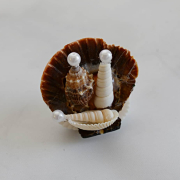 DIY Seashell Nativity