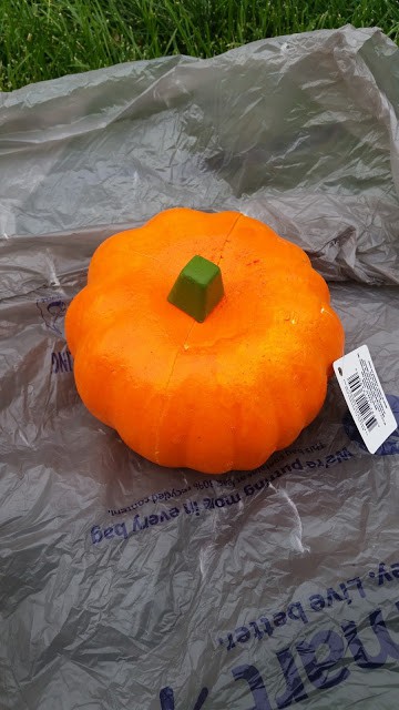 Use a dollar store pumpkin for a Metallic Pumpkin flower arrangement.