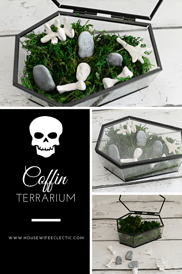 Coffin Terrarium Housewife Eclectic